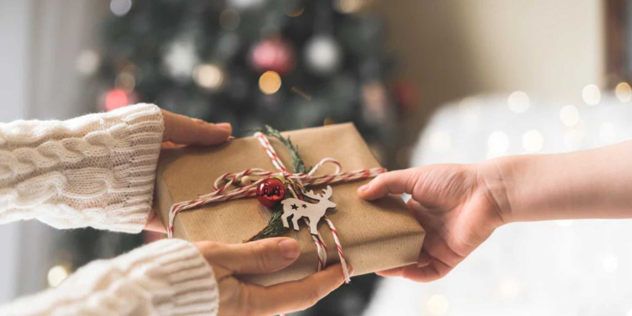 Idées de cadeaux de Noël pour les familles passionnées de voyage