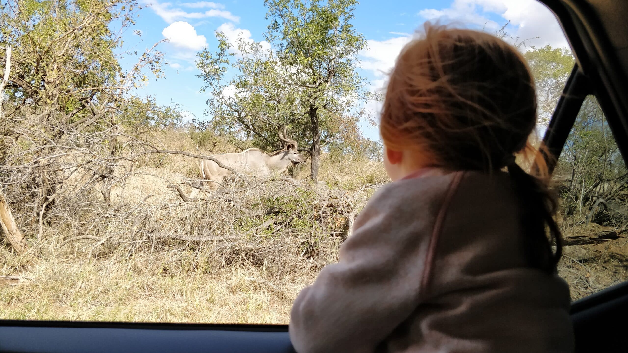 Travelling with small kids, winter edition tips!